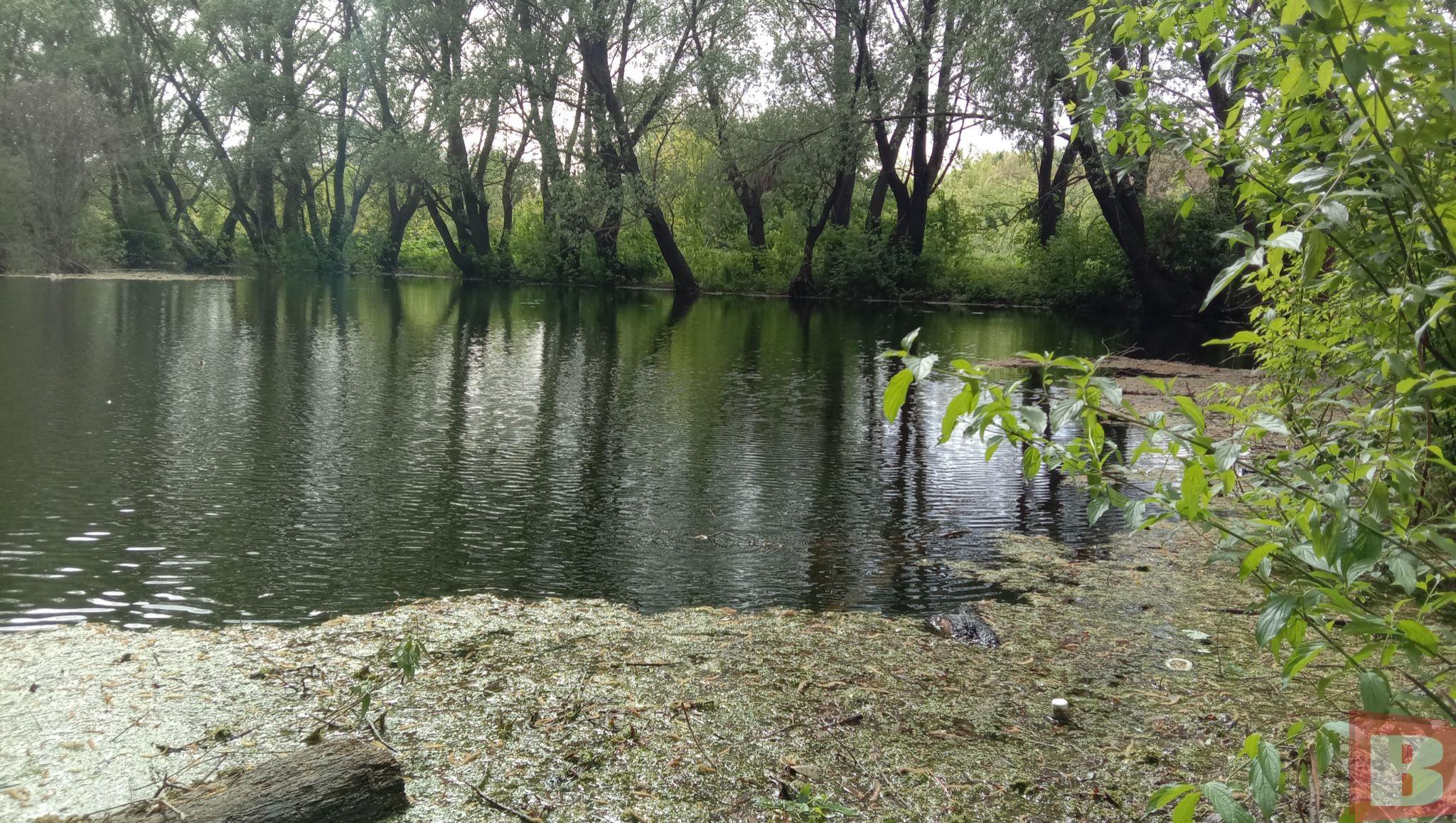 Новини Хмельницького - фото з Мешканці Гречан хочуть почистити ставок та створити сквер: як допомогти (ФОТО)