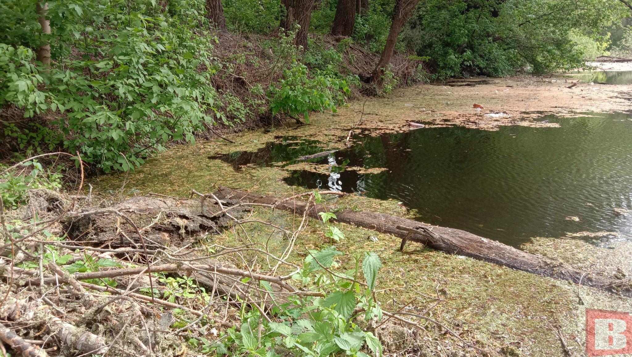 Новини Хмельницького - фото з Мешканці Гречан хочуть почистити ставок та створити сквер: як допомогти (ФОТО)
