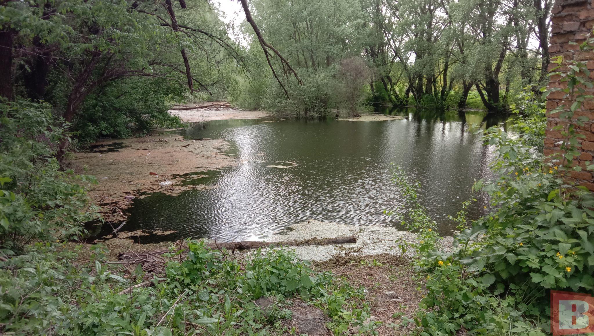 Новини Хмельницького - фото з Мешканці Гречан хочуть почистити ставок та створити сквер: як допомогти (ФОТО)