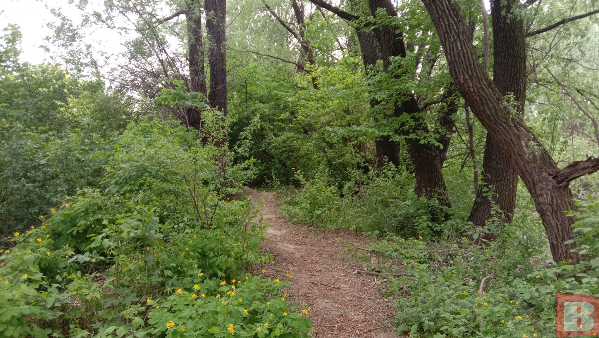 Новини Хмельницького - фото з Мешканці Гречан хочуть почистити ставок та створити сквер: як допомогти (ФОТО)