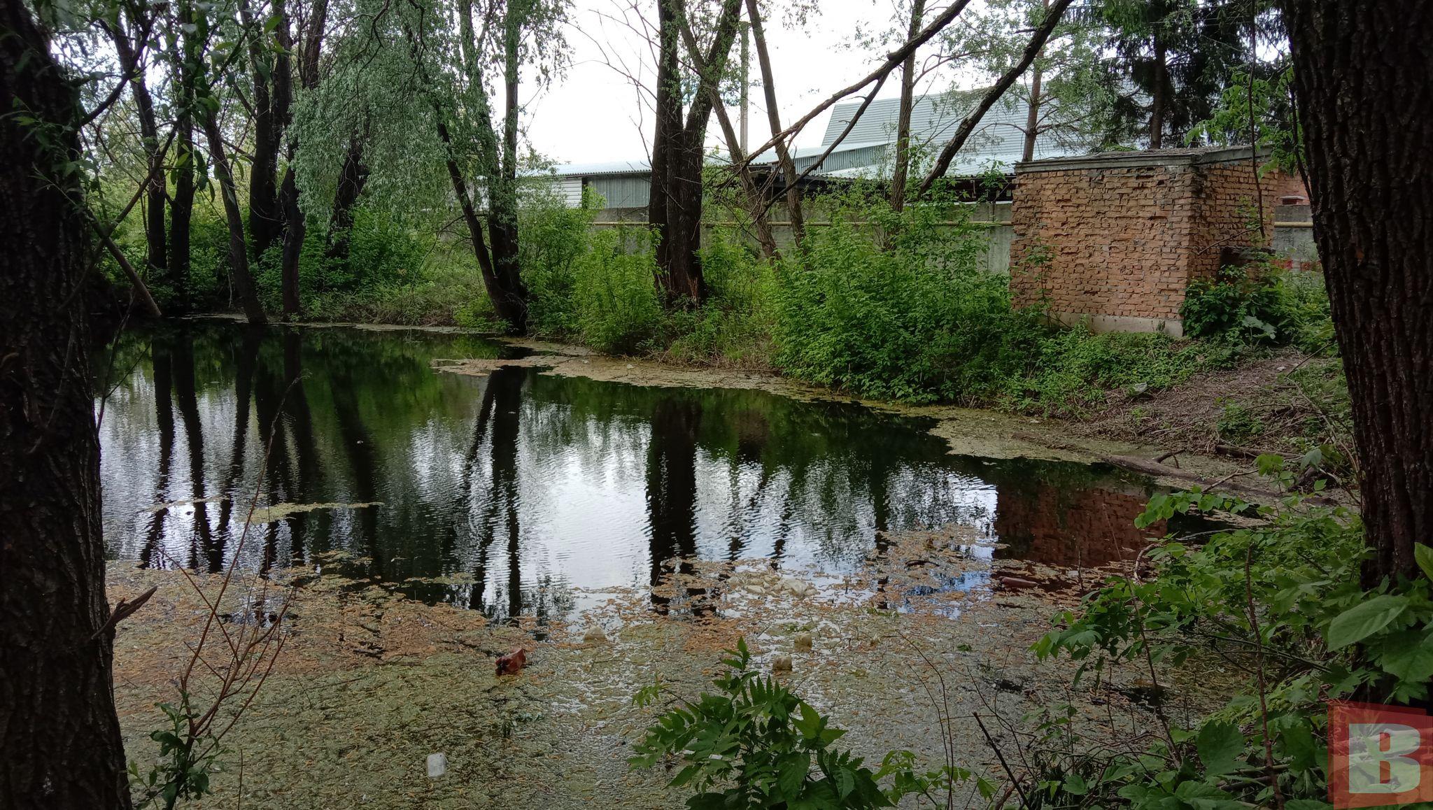 Новини Хмельницького - фото з Мешканці Гречан хочуть почистити ставок та створити сквер: як допомогти (ФОТО)