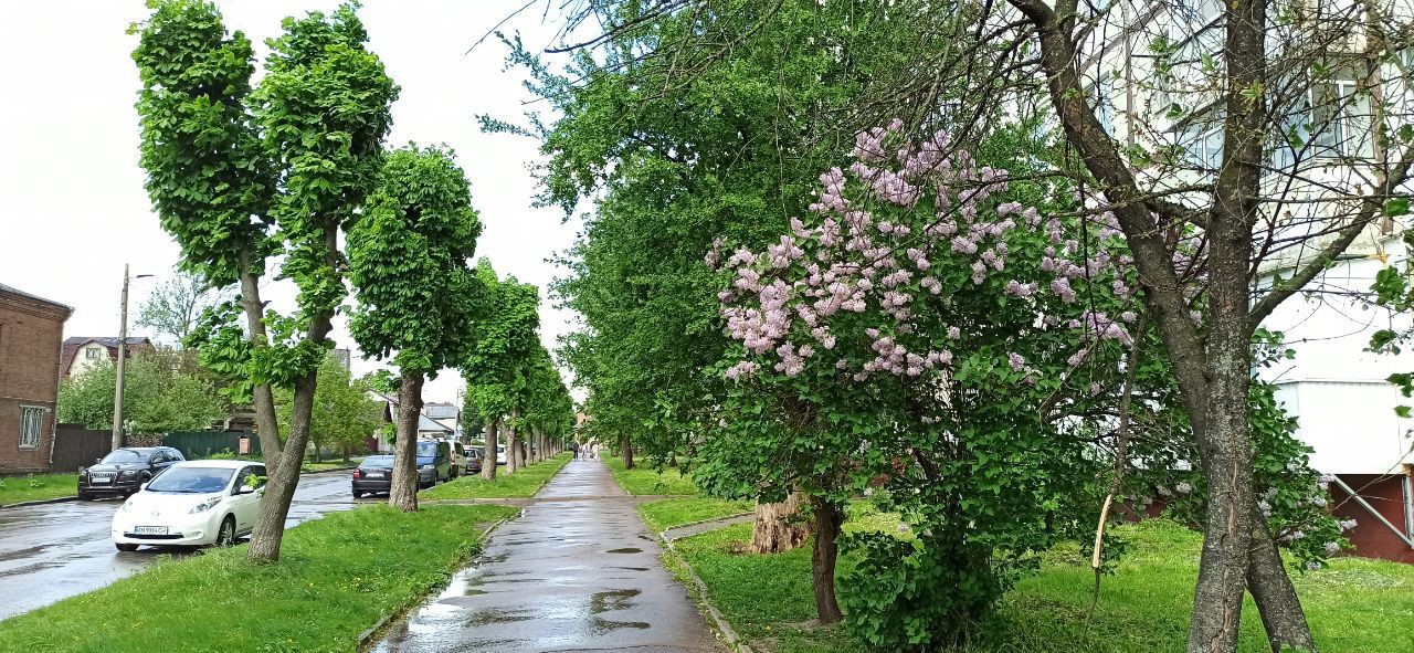 Новини Житомира - фото з Житомир за хвилину. Фото