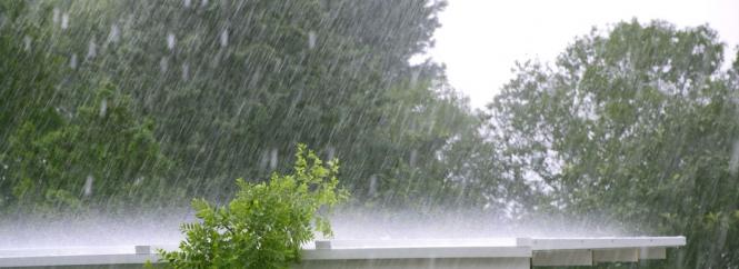 Похолодання та пориви вітру до 20 м/с. Синоптики попереджають про погіршення погоди