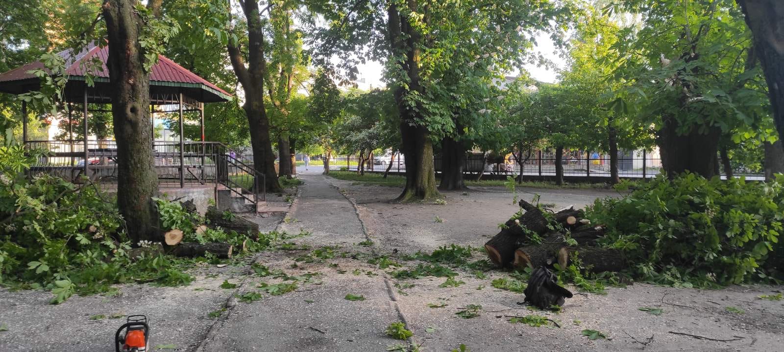 Новини Козятина - фото з Попадали каштани: у Козятині негода повалила дерева. На сьогодні оголосили попередження