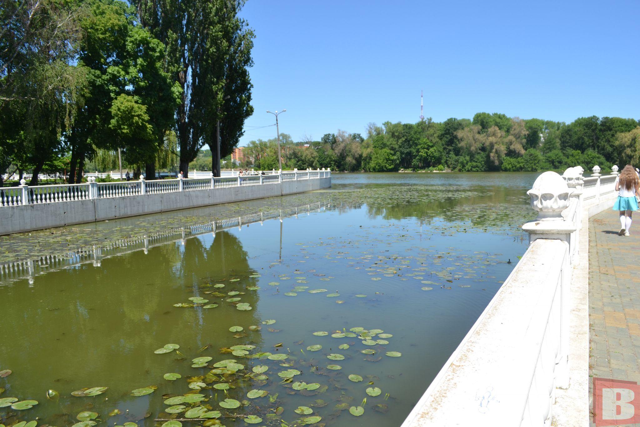 Новини Хмельницького - фото з У хмельницьких річках дохне риба та цвіте вода. Що із цим робитиме влада