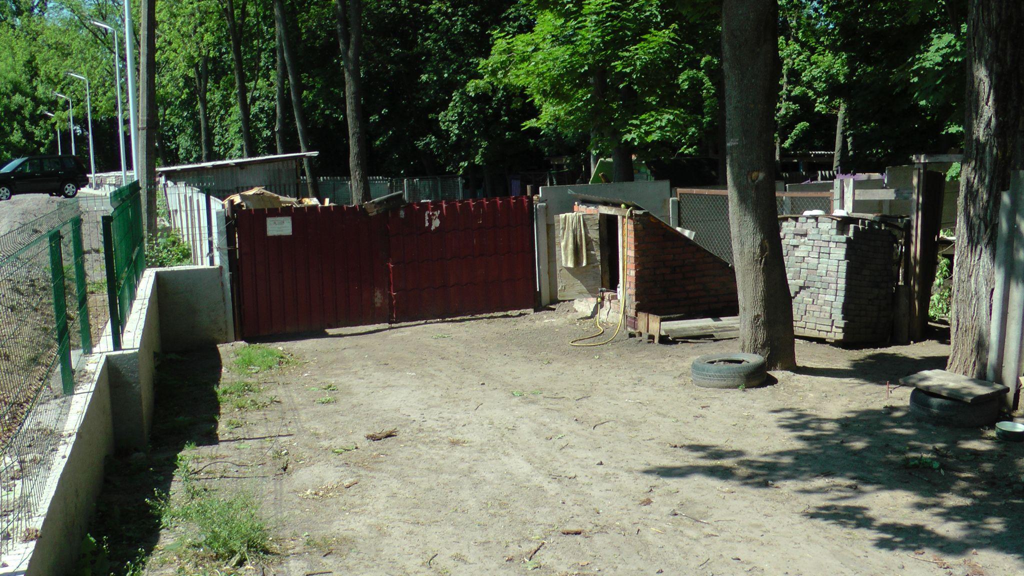 Новини Вінниці - фото з «Є у нас Джавеліни і Байрактари також». Три сотні тварин зібралося в приватному собачому притулку