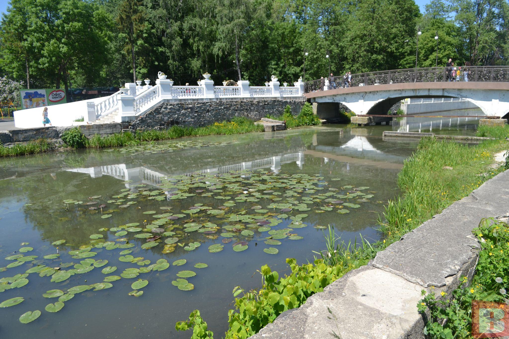 Новини Хмельницького - фото з У хмельницьких річках дохне риба та цвіте вода. Що із цим робитиме влада