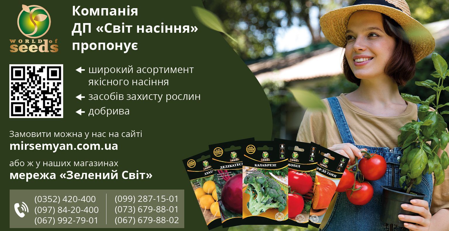 Новини Тернополя - фото з Час садити! Скільки коштує розсада у Тернополі: ми зібрали ціни та корисні поради (ГРАФІКА)