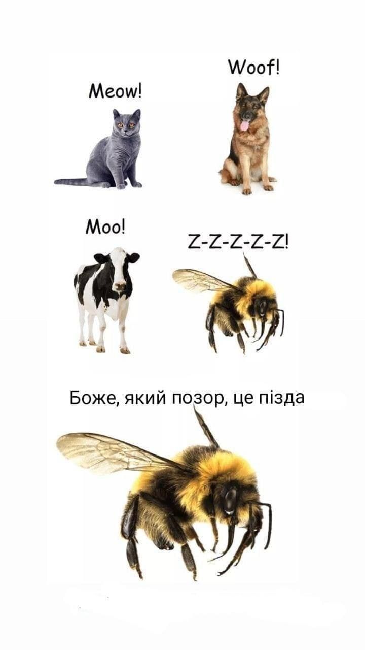Новини Вінниці - фото з Щоб не плакати, ми сміялись: добірка нових мемів про війну