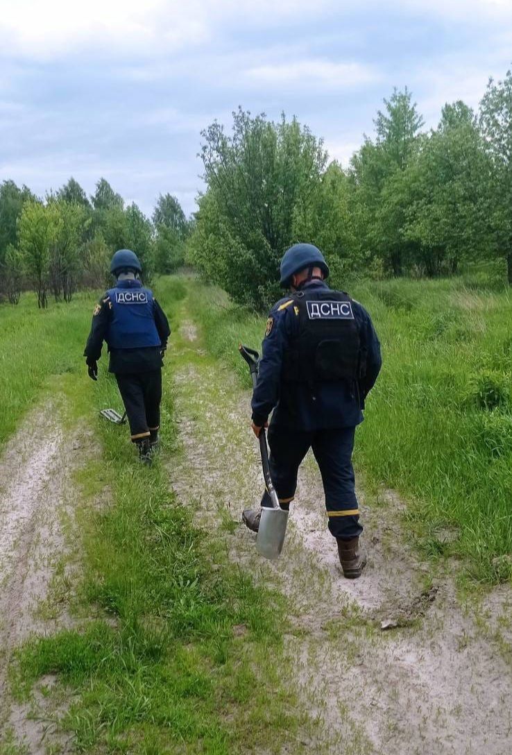 Піротехніки ДСНС очищують Житомирщину від небезпечних \"подаруночків ...