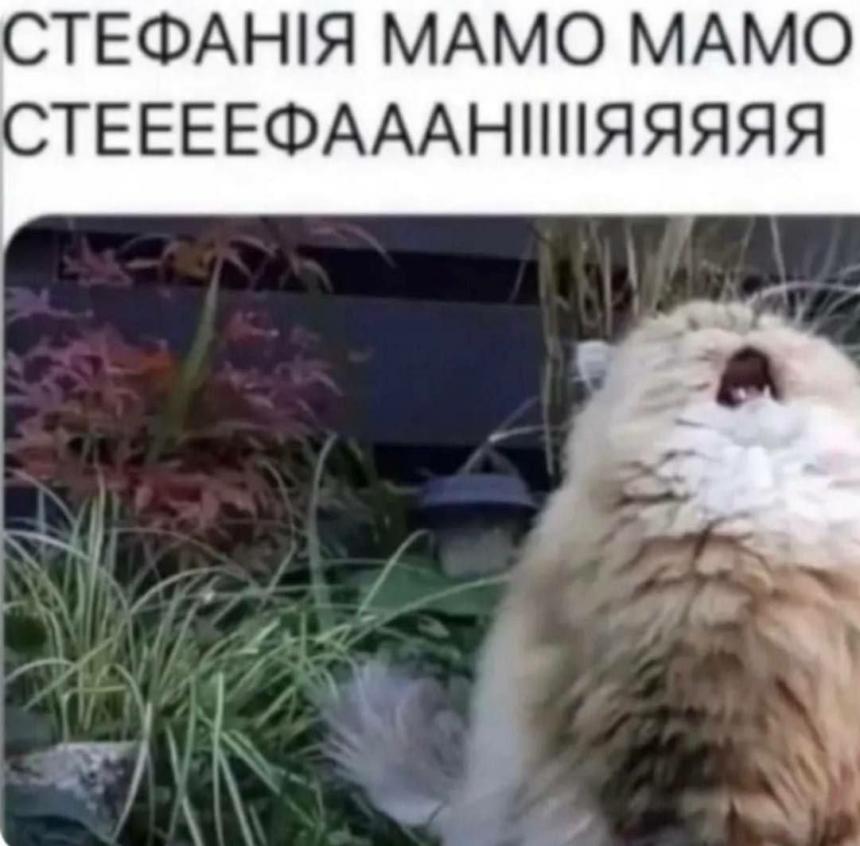 Новини Вінниці - фото з Щоб не плакати, ми сміялись: добірка нових мемів про війну