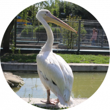 Новини Вінниці - фото з Концерт «Другої Ріки», театр, автобус-кабріолет: що робити та куди піти у Вінниці в червні