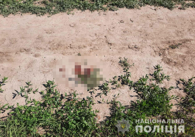 Новини Вінниці - фото з П'яний підліток забив до смерті односельця. Поліція розповіла перші подробиці