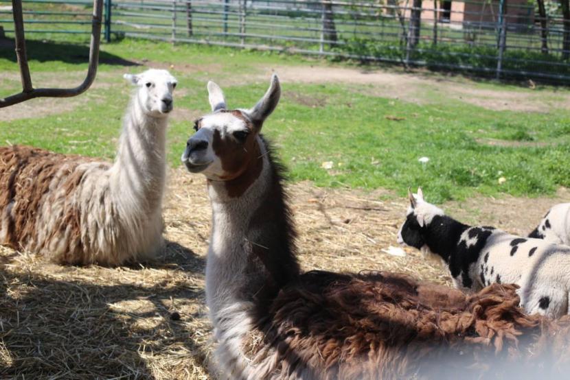 Новини Вінниці - фото з Афіша Вінниці. Де і як відпочити дітям і дорослим на вихідних 14 та 15 жовтня