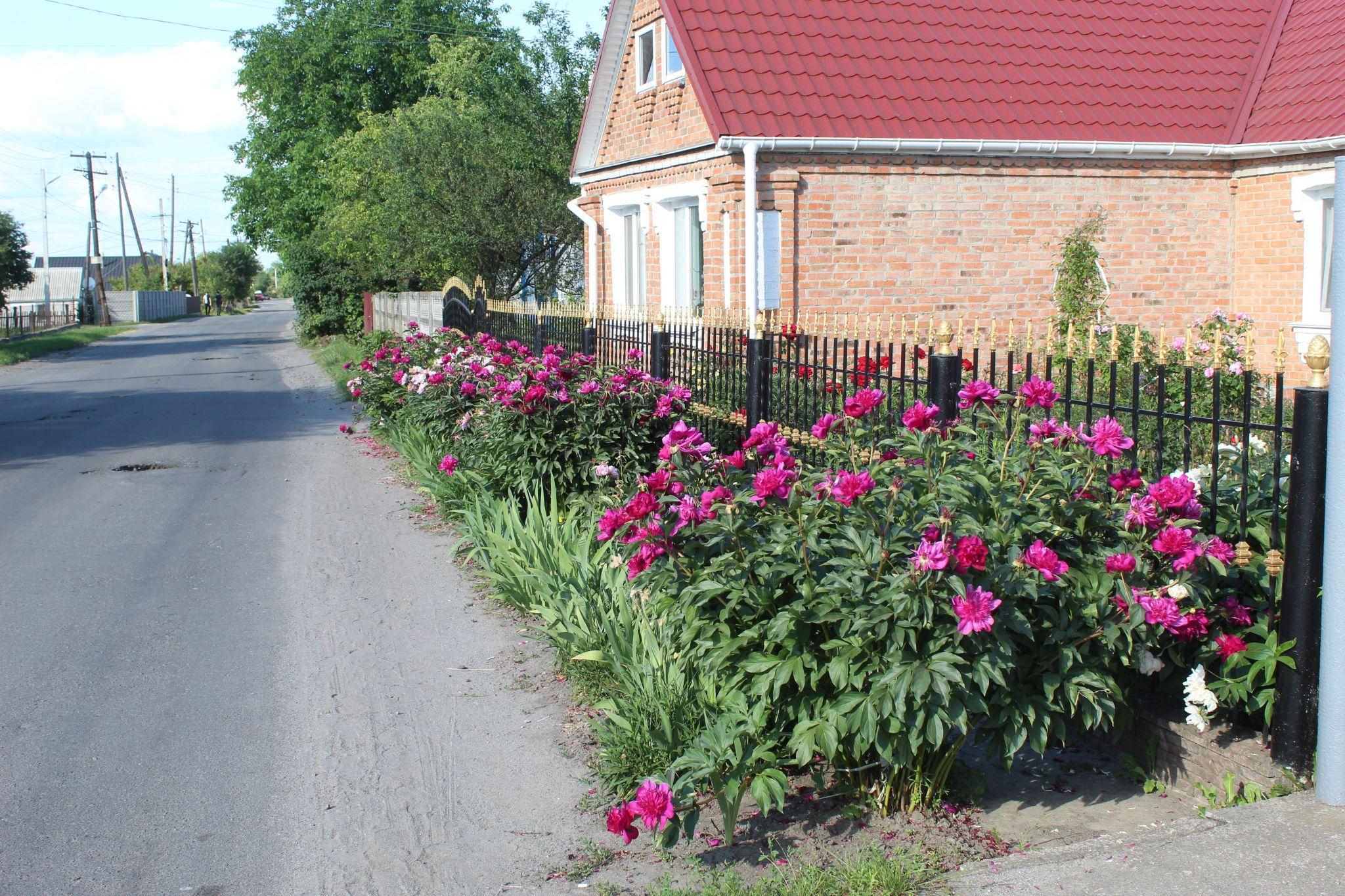 Новини Козятина - фото з Козятинщина у фото. Порадували майже всі. Дорожники і газовики — розчарували