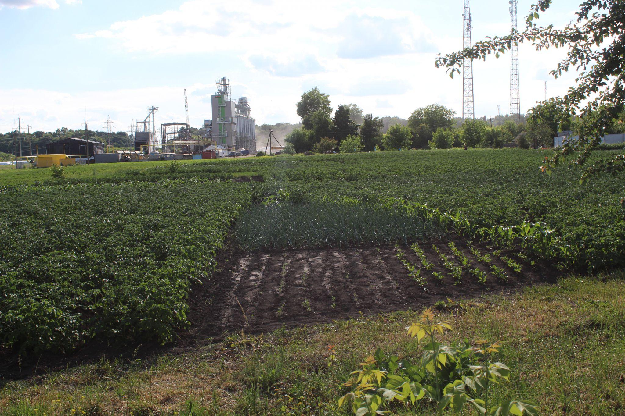 Новини Козятина - фото з Козятинщина у фото. Порадували майже всі. Дорожники і газовики — розчарували