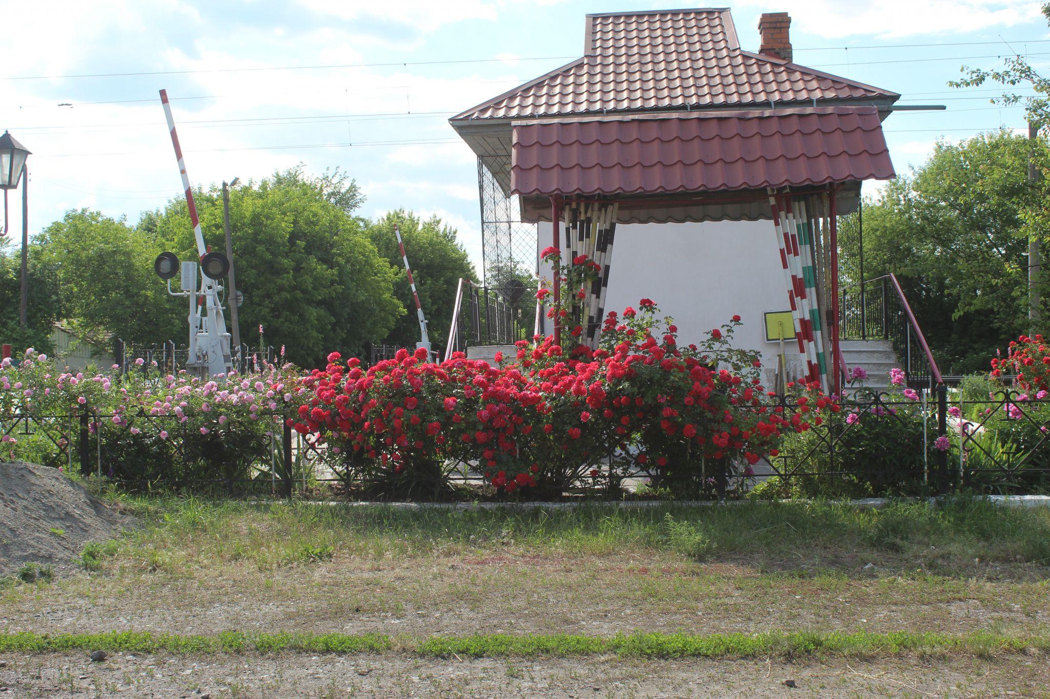 Новини Козятина - фото з Козятинщина у фото. Порадували майже всі. Дорожники і газовики — розчарували