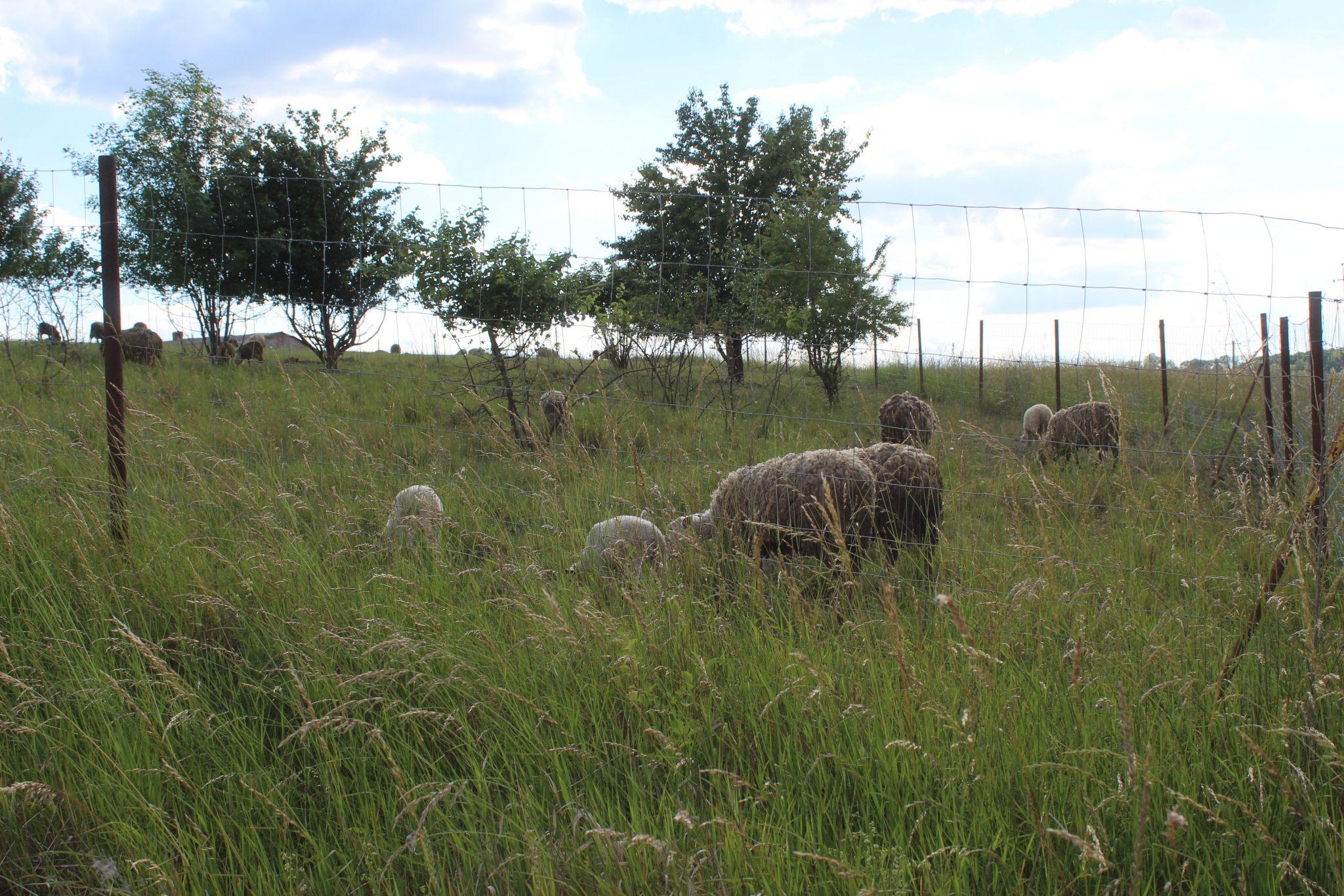 Новини Козятина - фото з Козятинщина у фото. Порадували майже всі. Дорожники і газовики — розчарували