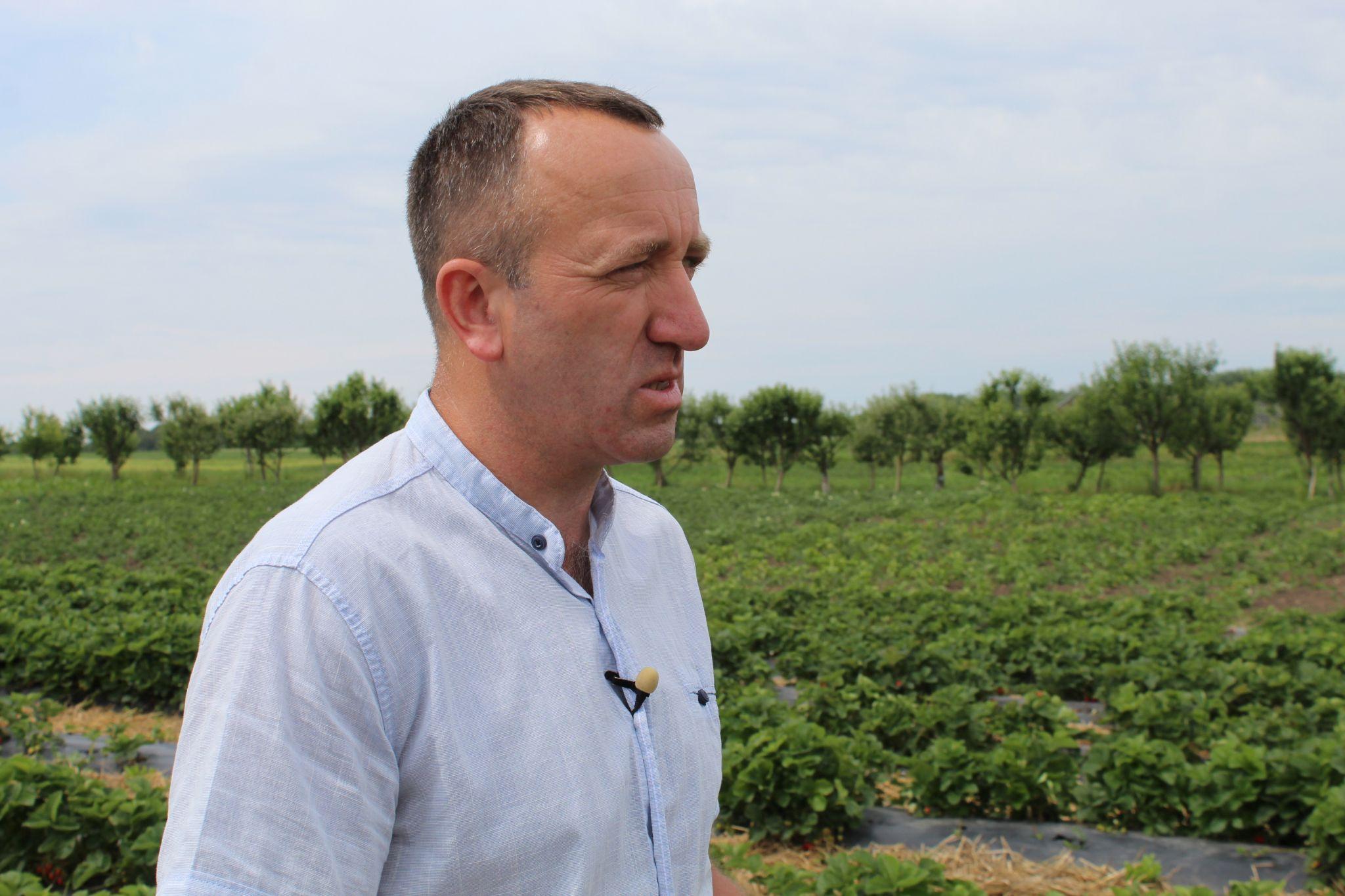 Новини Тернополя - фото з Забезпечують державі надійний тил! Кооператив на Хмельниччині вирощує овочі для ЗСУ (РЕПОРТАЖ)