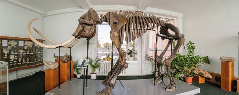 Новини Вінниці - фото з Від музею до квесту. Вінницькі екскурсії та розваги, які варто відвідати влітку