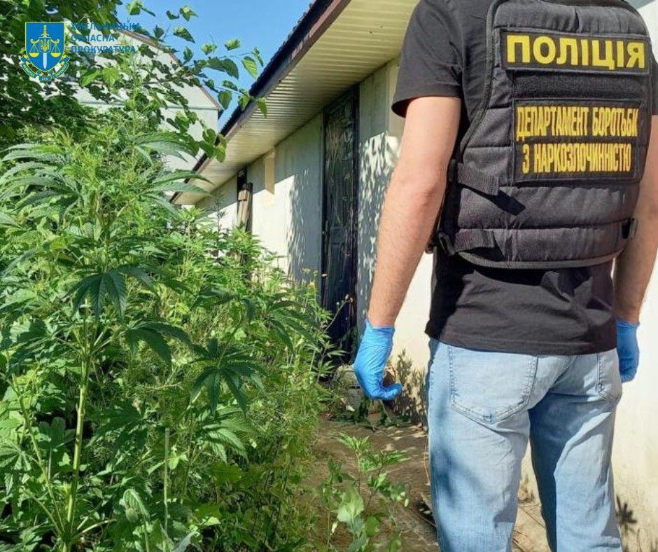 Новини Хмельницького - фото з У Хмельницькому в наркоторговців конфіскували коноплю, зброю та боєприпаси (ФОТО)