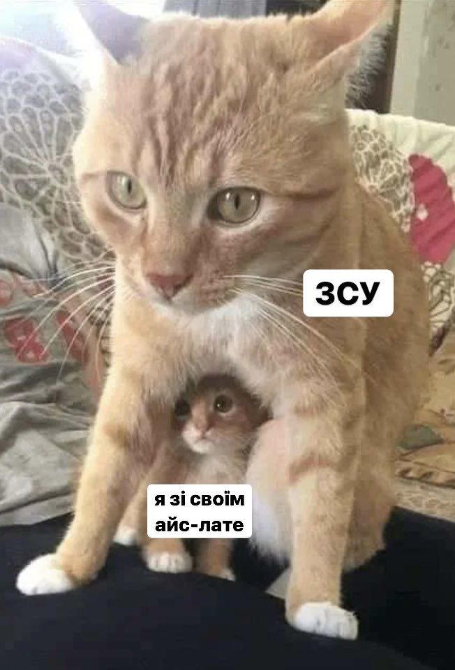 Новини Вінниці - фото з Щоб не плакати, ми сміялись. Добірка нових мемів про війну