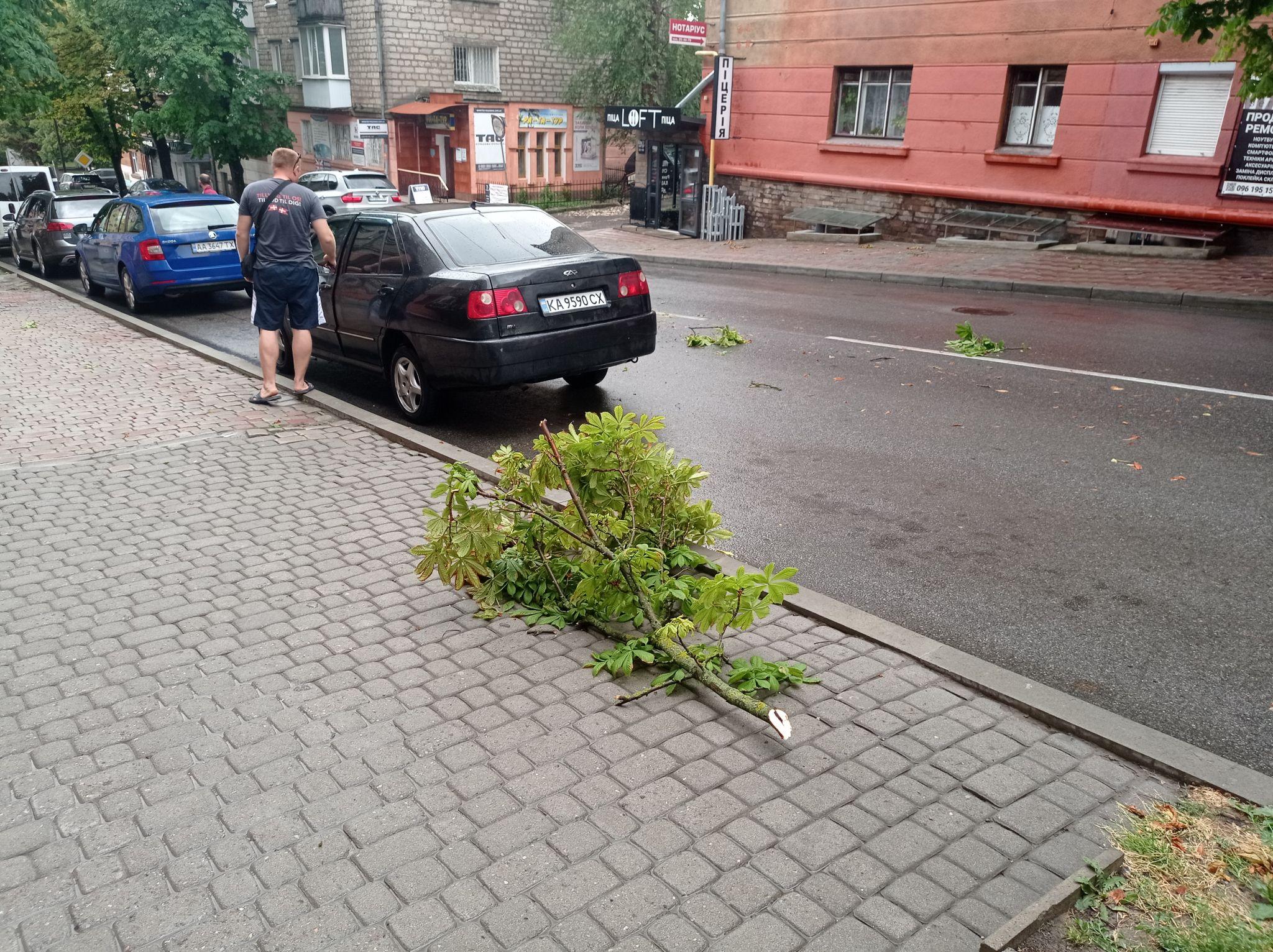 Новини Тернополя - фото з Повалило дерева та затопило вулиці: наслідки негоди у Тернополі (ФОТО, ВІДЕО)