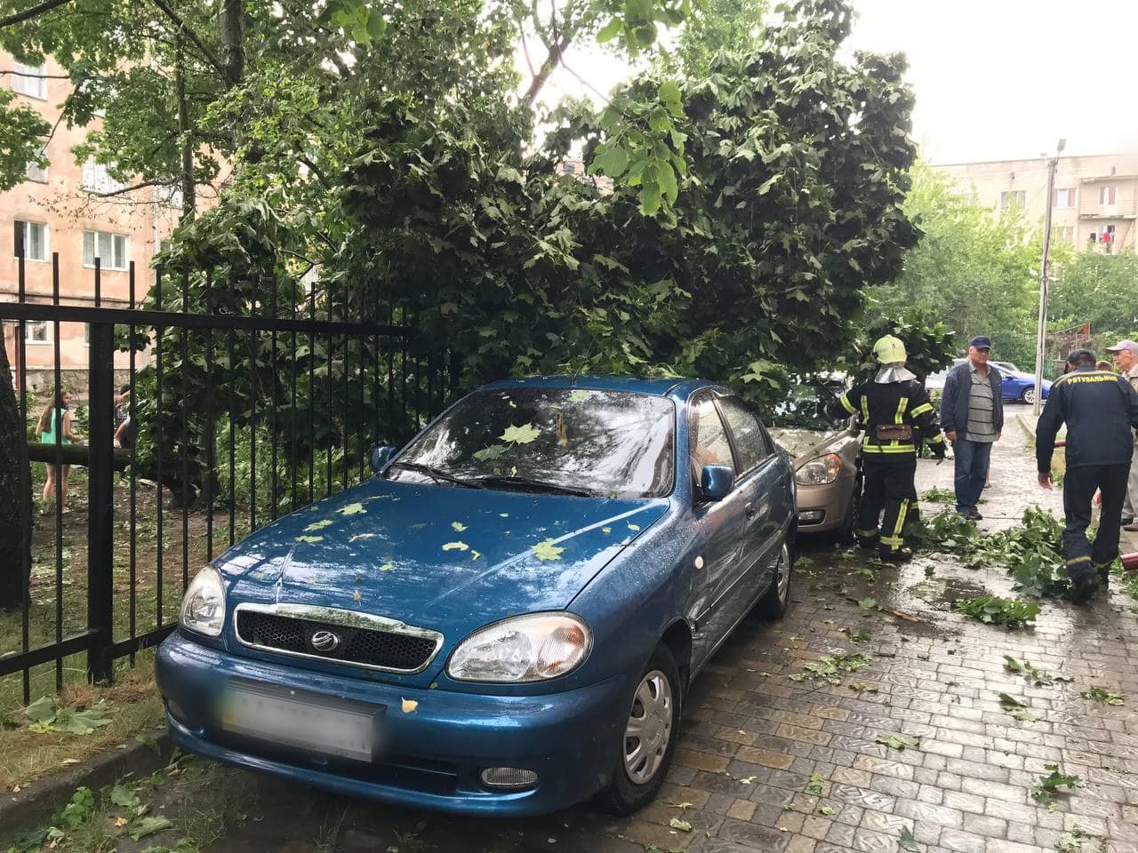 Новини Тернополя - фото з Через зливу дерева попадали та потрощили автомобілі