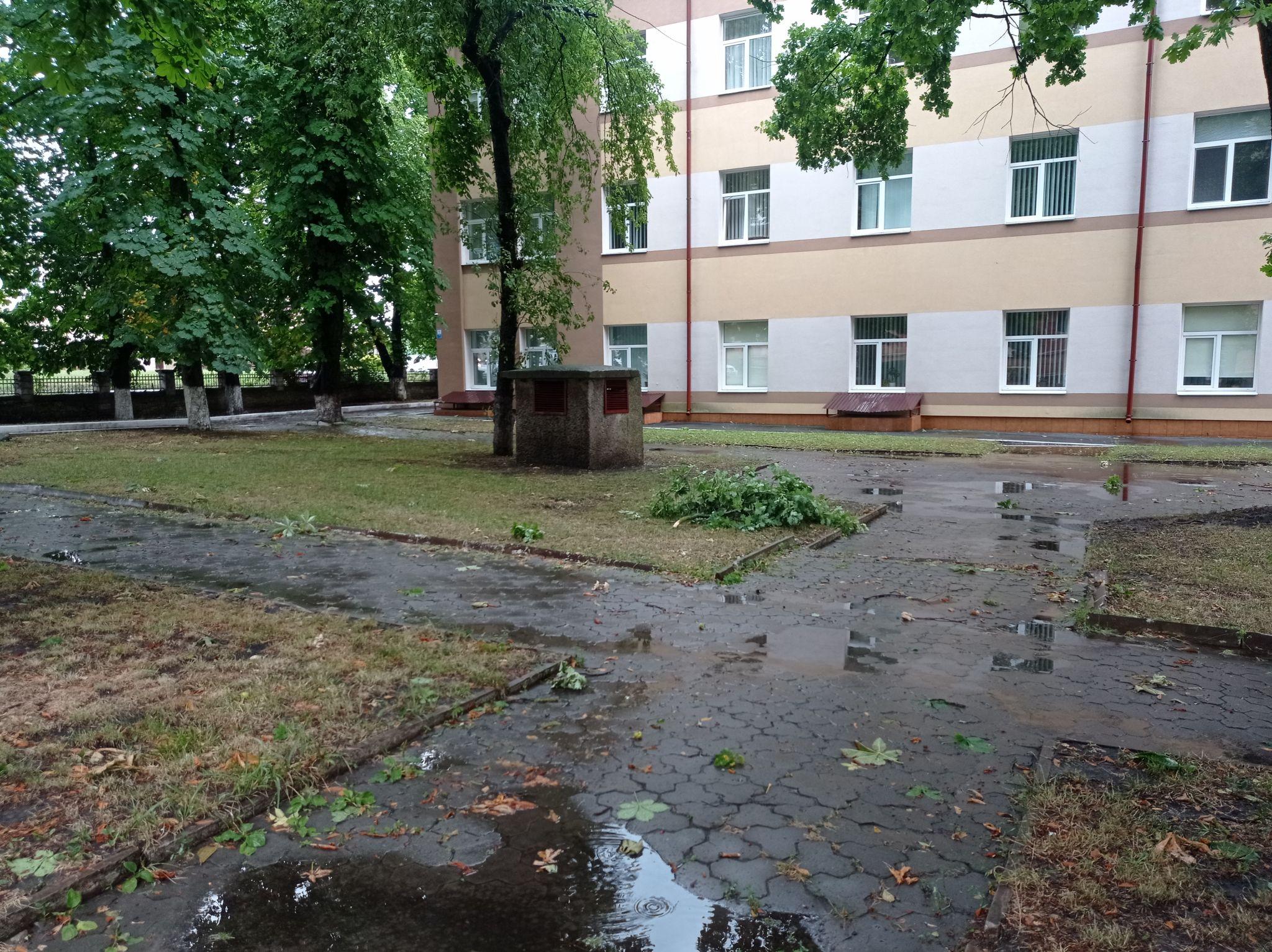 Новини Тернополя - фото з Повалило дерева та затопило вулиці: наслідки негоди у Тернополі (ФОТО, ВІДЕО)