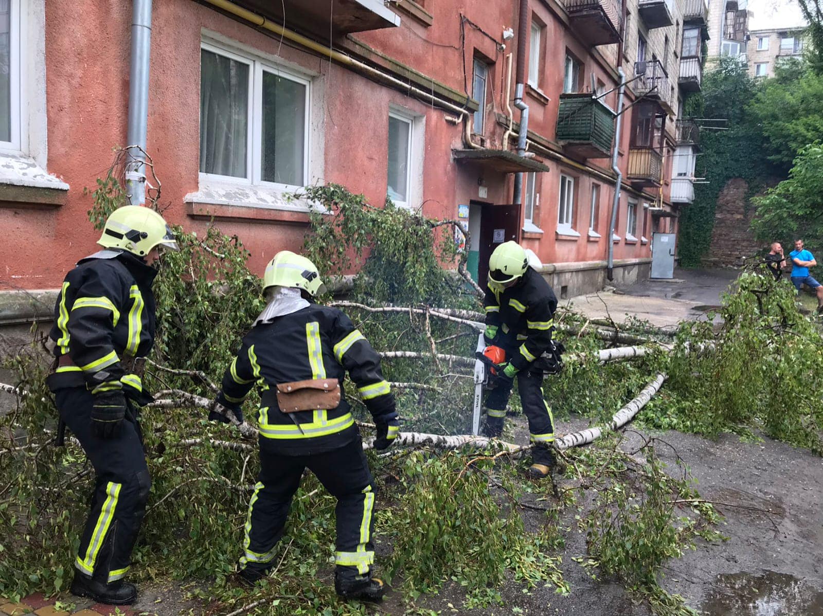 Новини Тернополя - фото з Через зливу дерева попадали та потрощили автомобілі