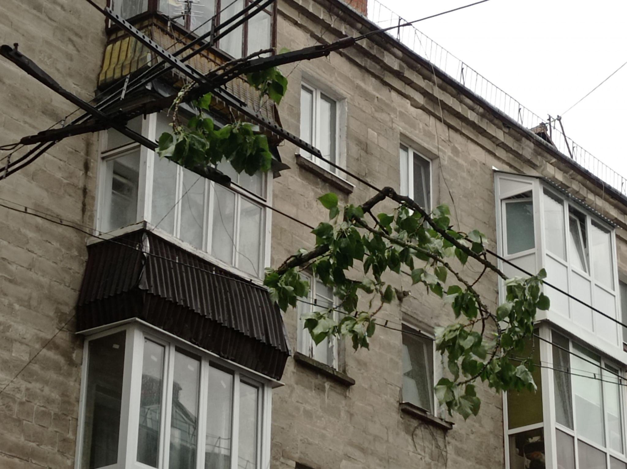 Новини Тернополя - фото з Повалило дерева та затопило вулиці: наслідки негоди у Тернополі (ФОТО, ВІДЕО)