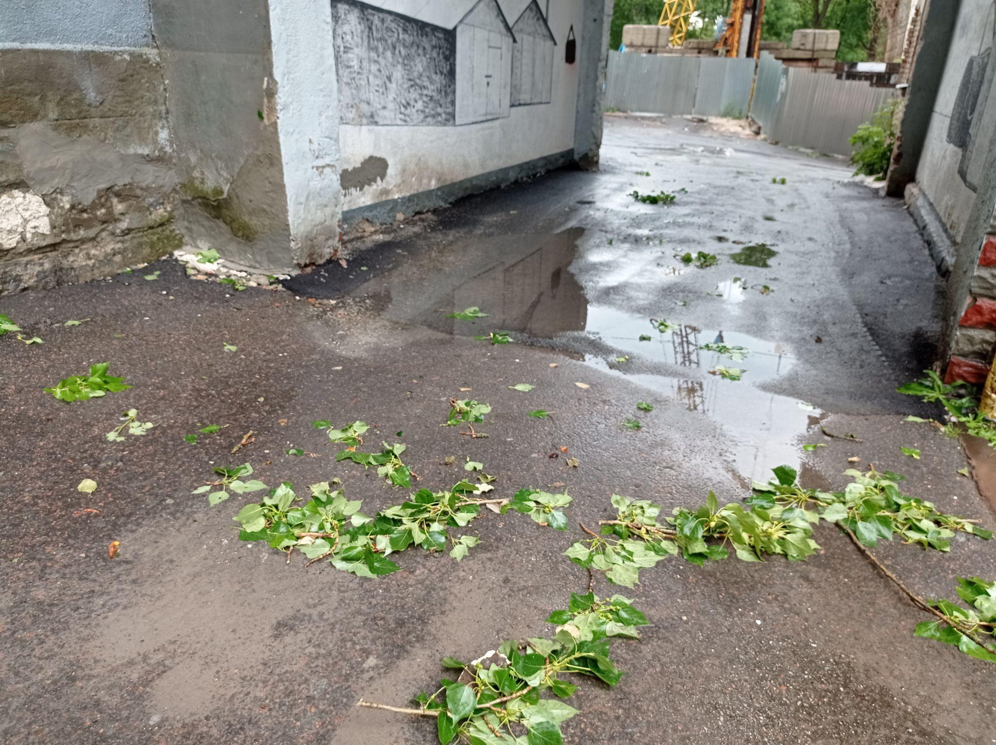 Новини Тернополя - фото з Повалило дерева та затопило вулиці: наслідки негоди у Тернополі (ФОТО, ВІДЕО)