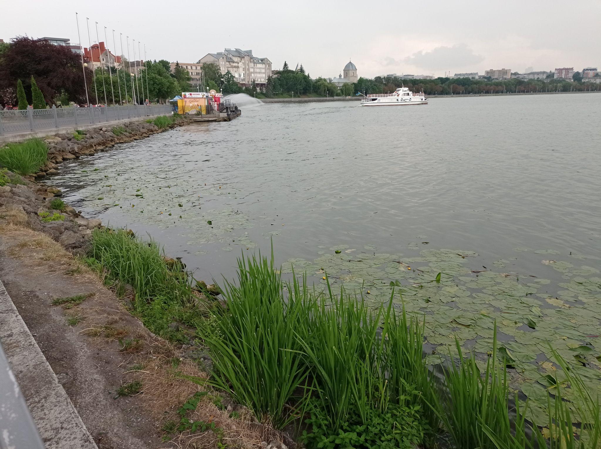Новини Тернополя - фото з Знову зацвів! На Тернопільському ставі змінився колір води та з’явився неприємний запах