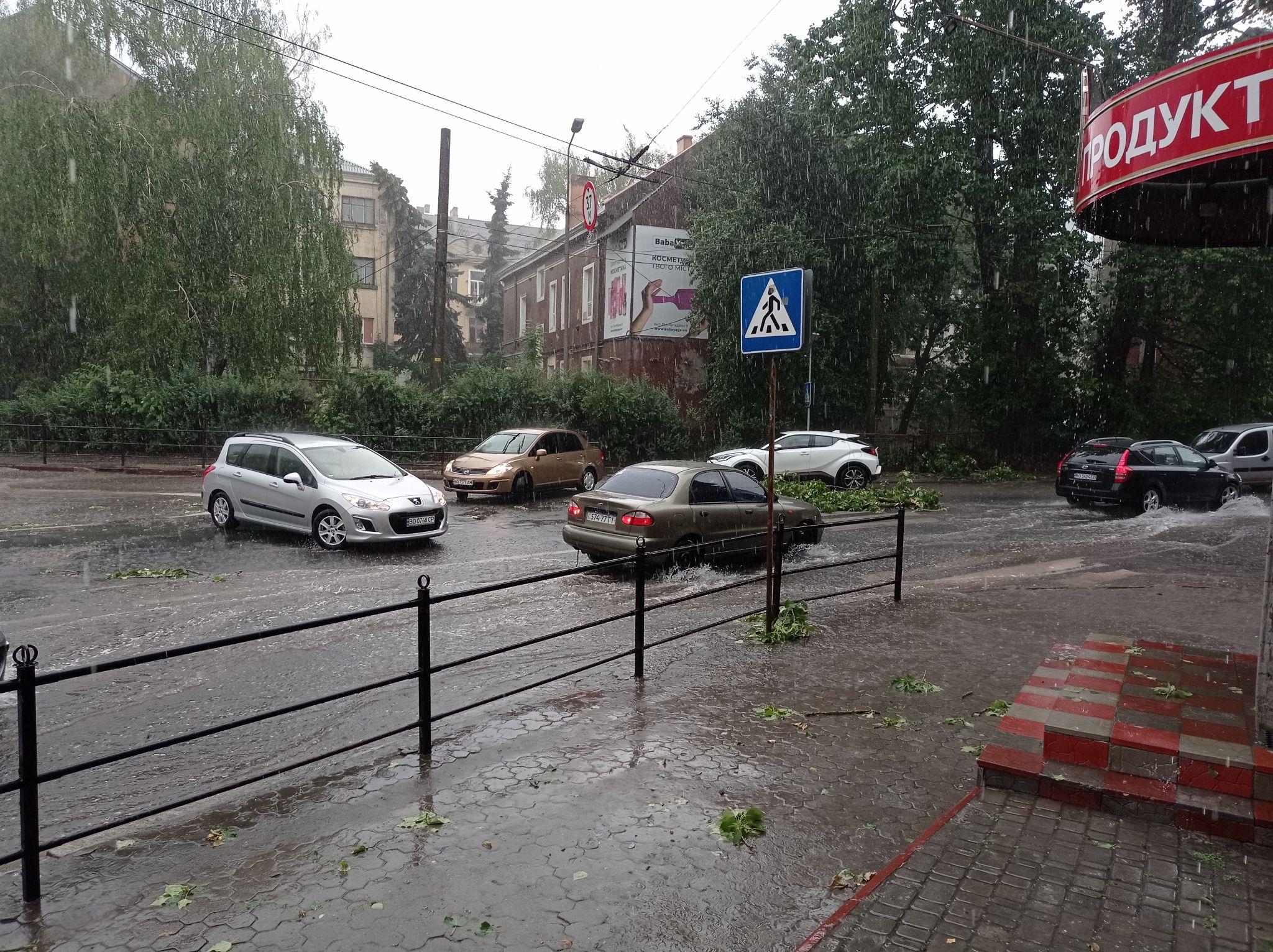 Новини Тернополя - фото з Повалило дерева та затопило вулиці: наслідки негоди у Тернополі (ФОТО, ВІДЕО)