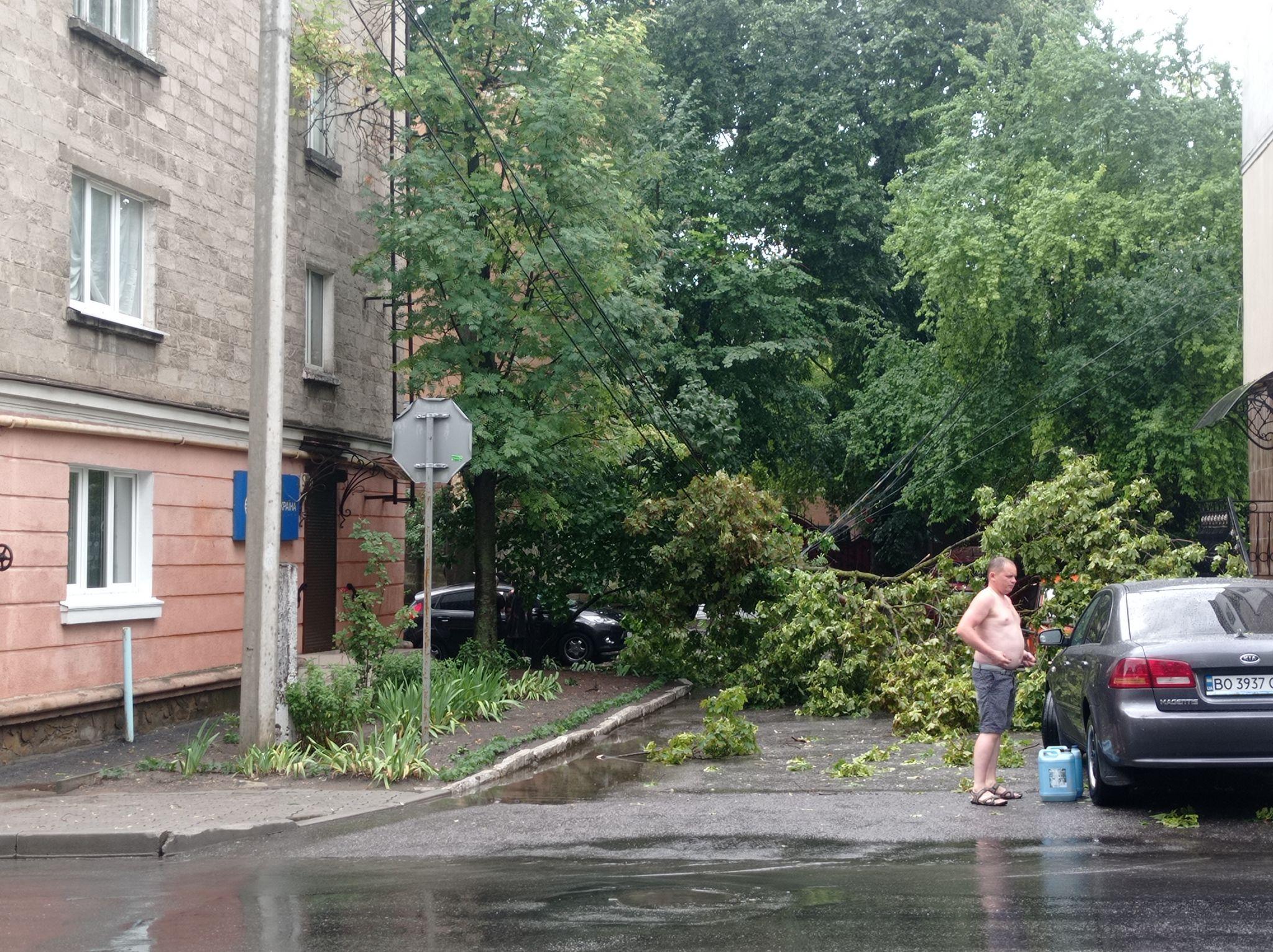 Новини Тернополя - фото з Повалило дерева та затопило вулиці: наслідки негоди у Тернополі (ФОТО, ВІДЕО)