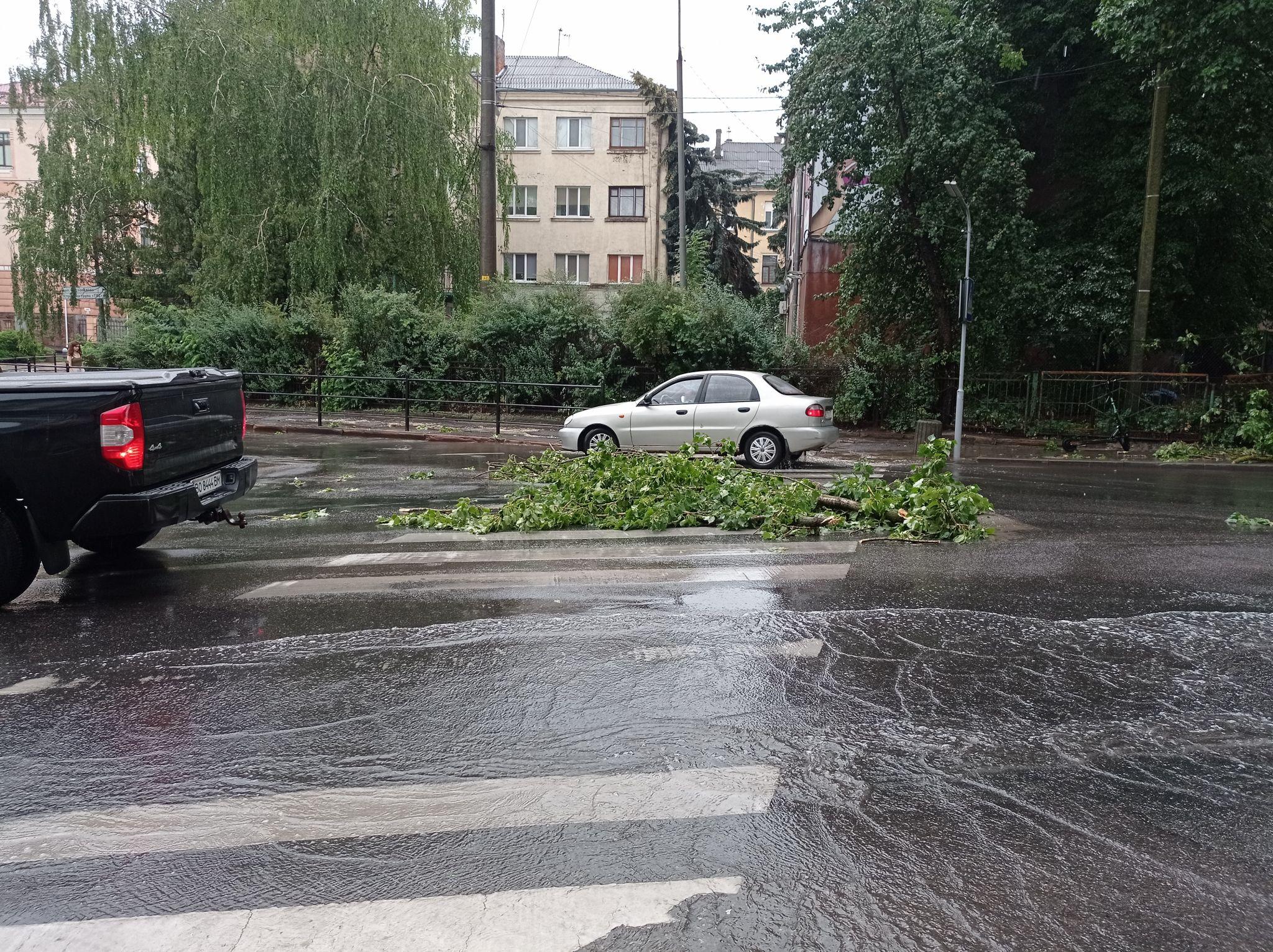 Новини Тернополя - фото з Повалило дерева та затопило вулиці: наслідки негоди у Тернополі (ФОТО, ВІДЕО)