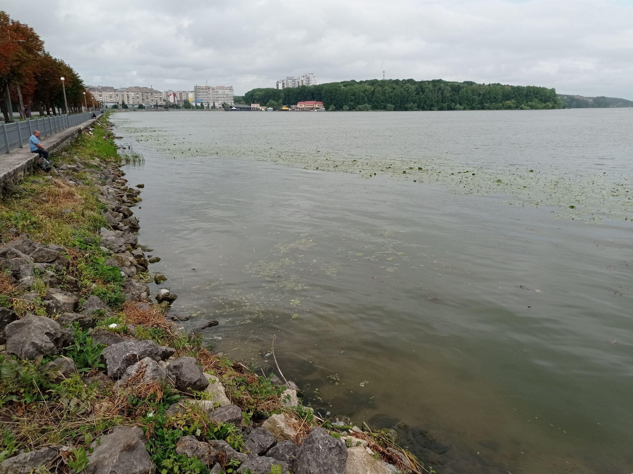 Новини Тернополя - фото з Знову зацвів! На Тернопільському ставі змінився колір води та з’явився неприємний запах