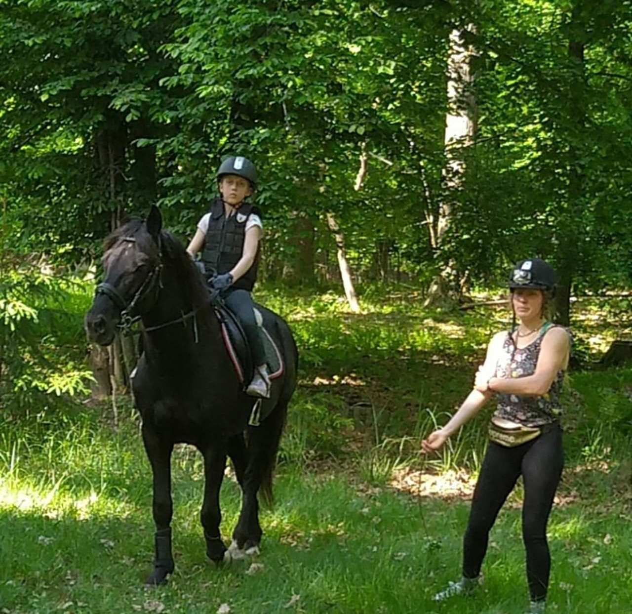 Новини Вінниці - фото з «Очі поки що сумні». Продовження історії з порятунку коней, евакуйованих з-під Києва