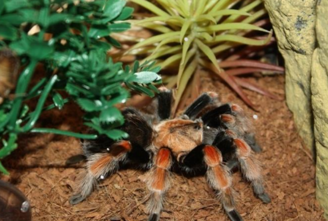 Новини Вінниці - фото з Куди подіти дітей влітку? Якщо є канікули, але немає моря