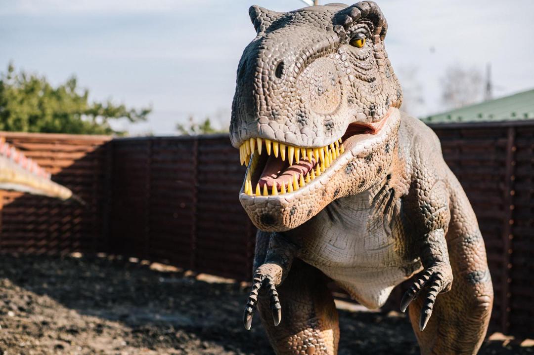 Новини Вінниці - фото з Куди подіти дітей влітку? Якщо є канікули, але немає моря