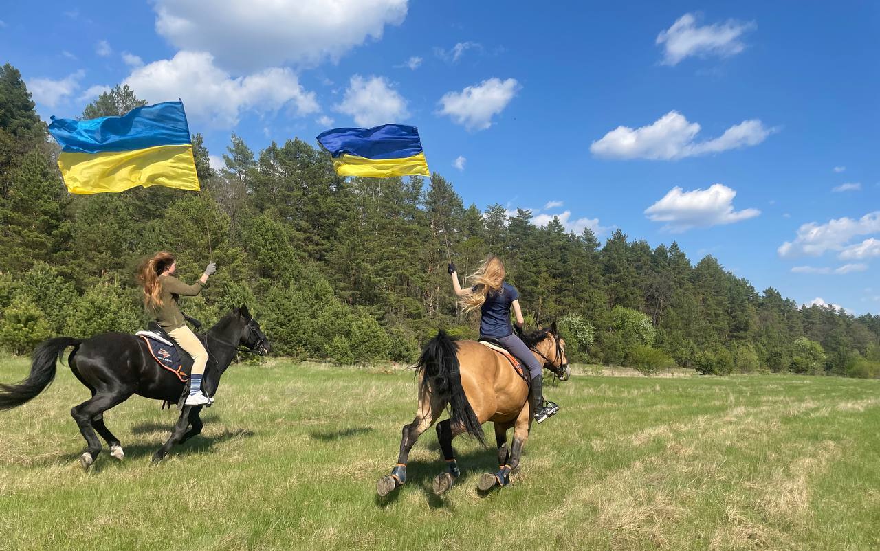 Новини Вінниці - фото з «Очі поки що сумні». Продовження історії з порятунку коней, евакуйованих з-під Києва