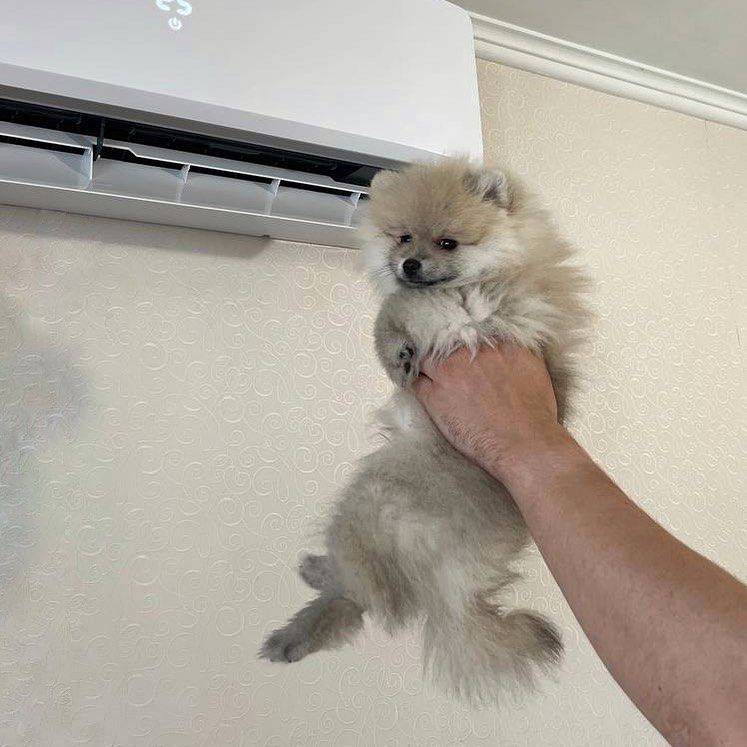 Новини Вінниці - фото з Вимкни кондиціонер в авто — соплі дитині надуєш! Ще одна порада від бабусі, яку не варто слухати