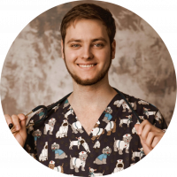 Новини Вінниці - фото з Ще не вміє говорити, а вже любить «Каліфорнію». Коли дитині можна суші, розповідає педіатр