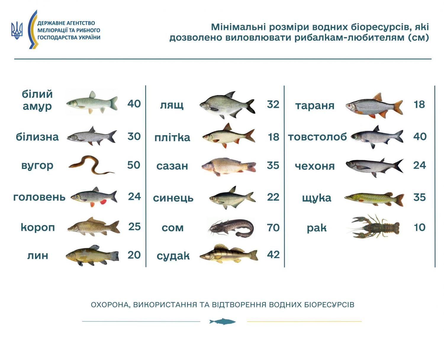 Новини Вінниці - фото з Ловись рибка велика і не дуже маленька — бо буде адмінпорушення, штраф, аж до кримінальної відповідальності