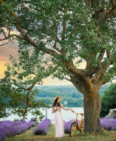 Новини Хмельницького - фото з Лавандові поля біля Хмельницького: куди їхати та скільки коштує вхід