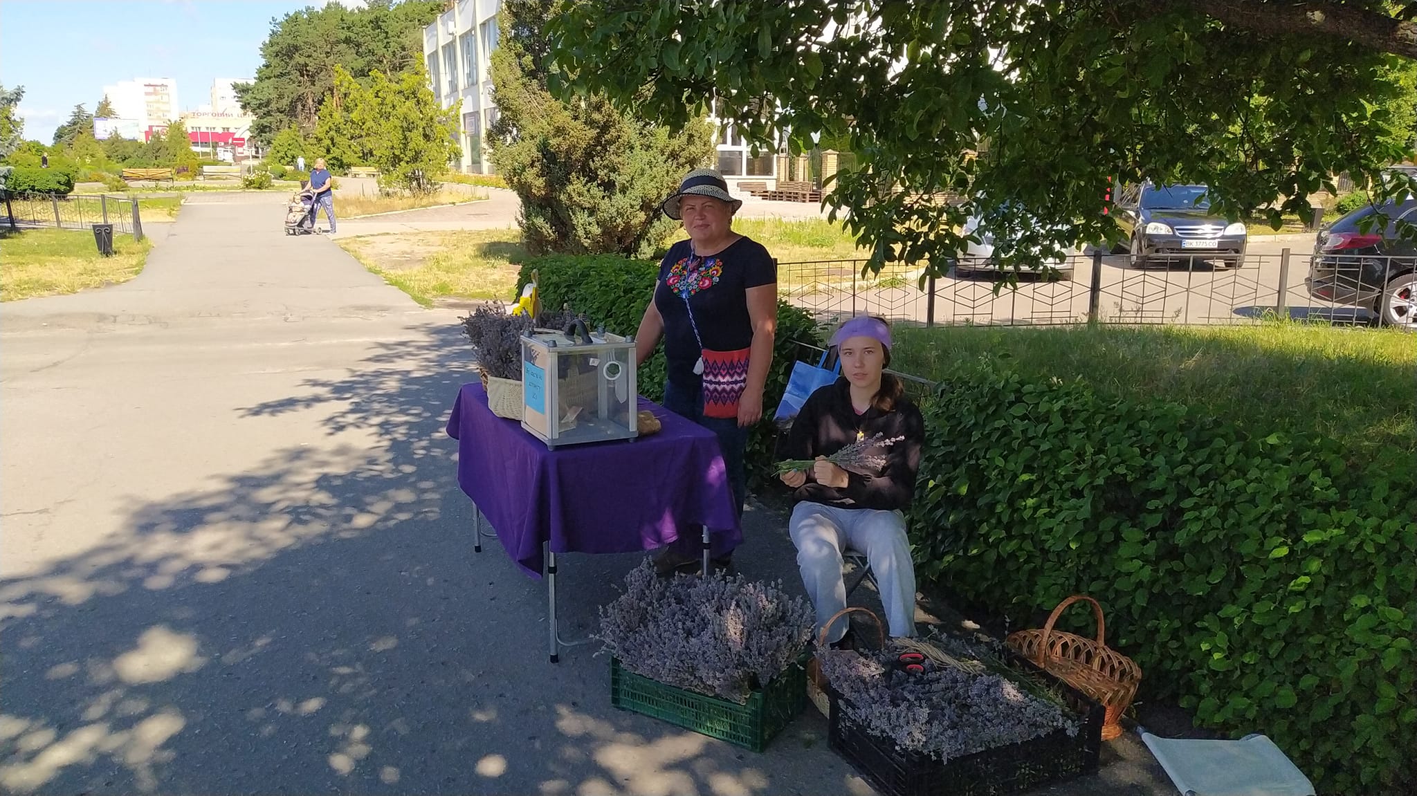 Новини Хмельницького - фото з “Лавандове поле” на Хмельниччині назбирало більше 30 тисяч на ЗСУ (ФОТО)