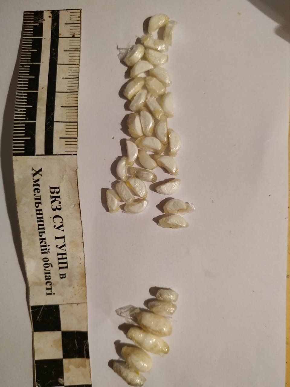 Новини Хмельницького - фото з Наркотики в олів’є, смальці та цукерках: як хмельничани ховають передачі ув’язненим (ФОТО)