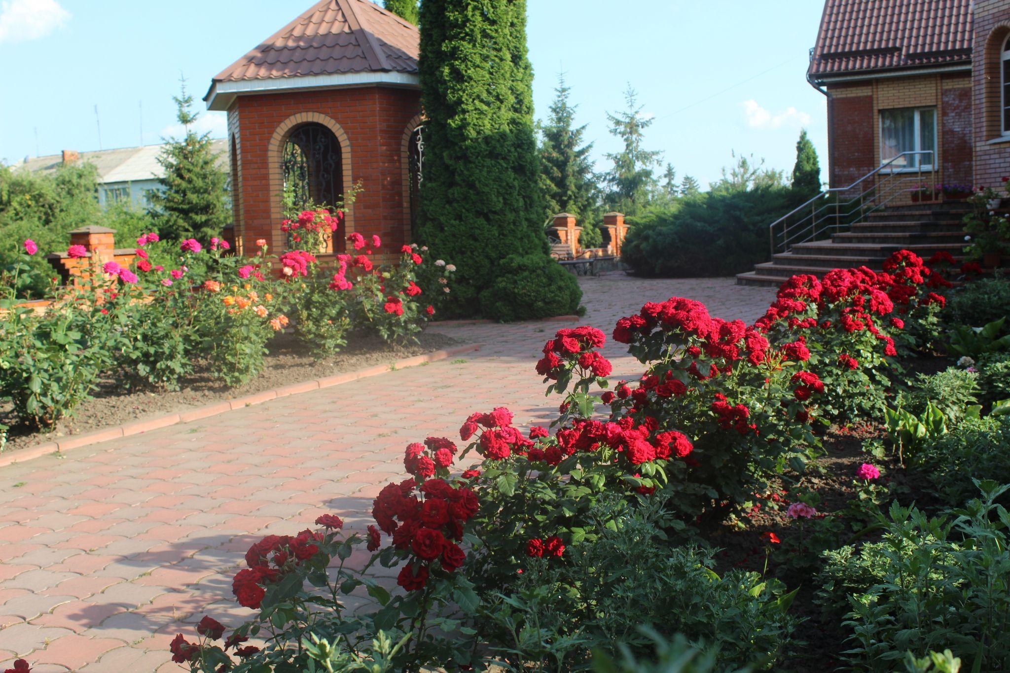 Новини Козятина - фото з Прогулянка Козятинщиною: зупинки, дороги, аварійна лісосмуга та майстер-клас від «Візаві»