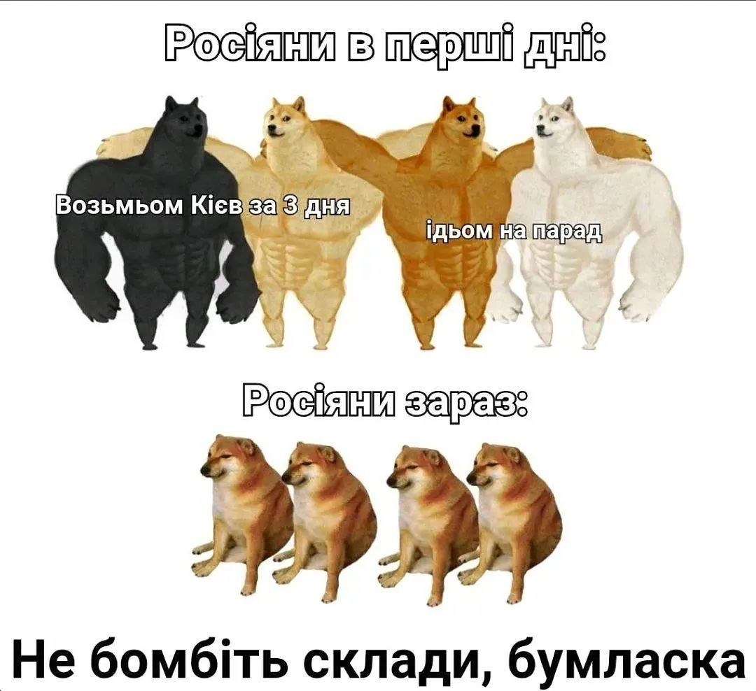 Новини Хмельницького - фото з Про хаймарси, Джонсона та непереможних ЗСУ: добірка мемів для підняття бойового настрою