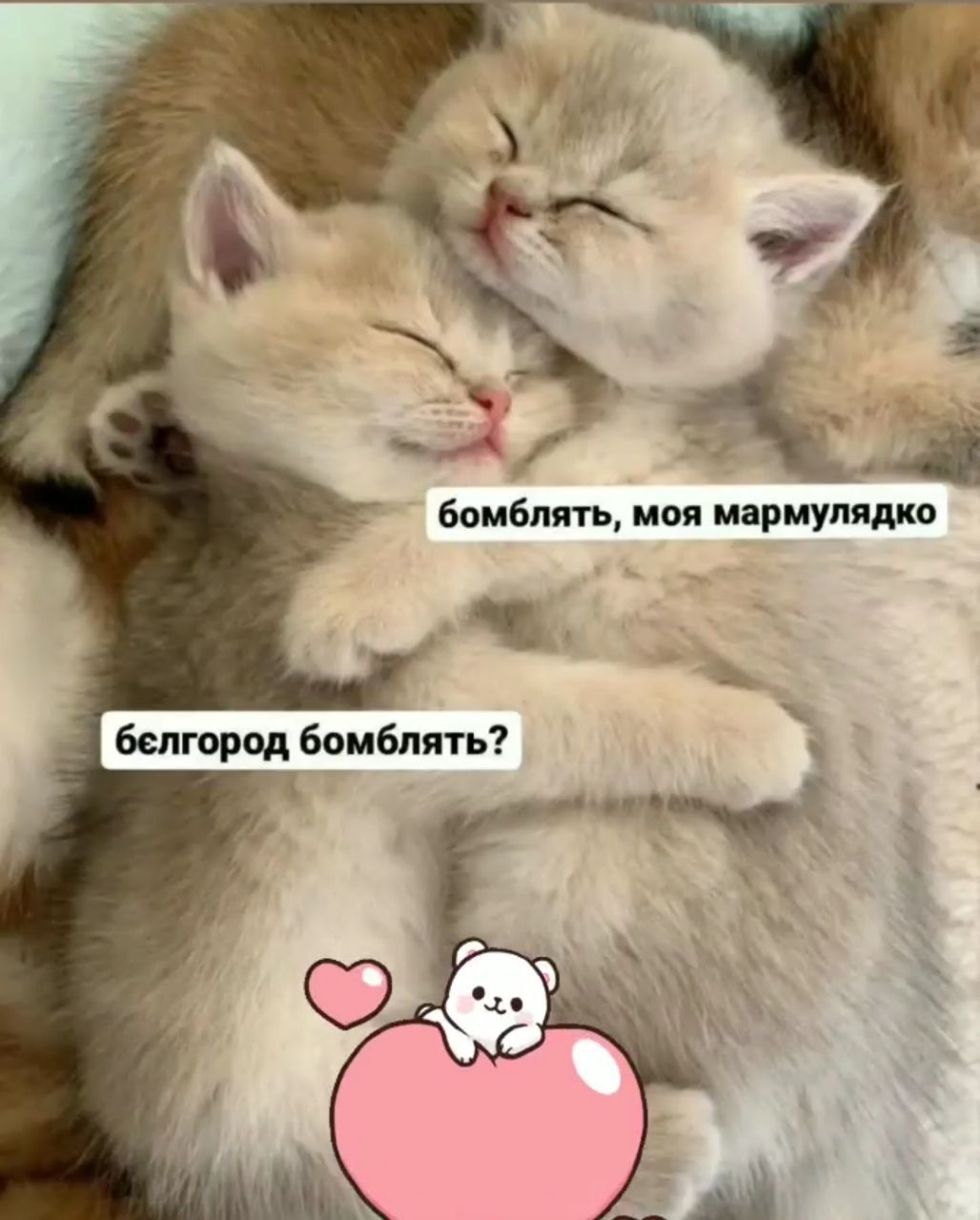 Новини Хмельницького - фото з Про хаймарси, Джонсона та непереможних ЗСУ: добірка мемів для підняття бойового настрою